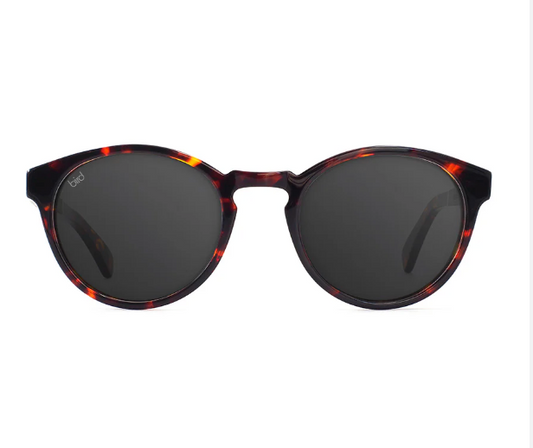 Kaka | Tortoiseshell